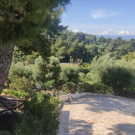 Lunamora 4 رودي غارغانيكو