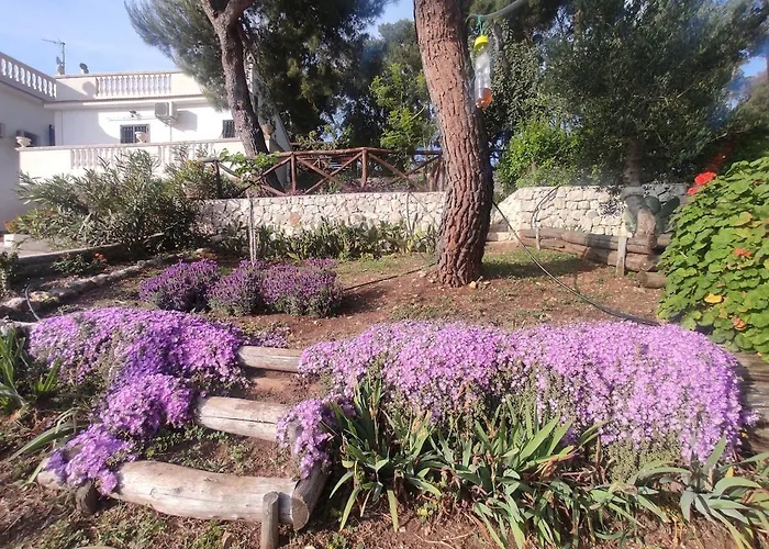 Apartment Lunamora 4