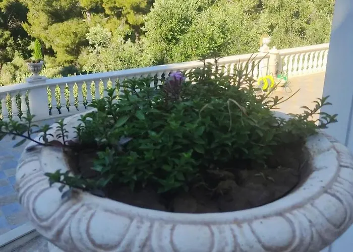 Lunamora 4 Apartment